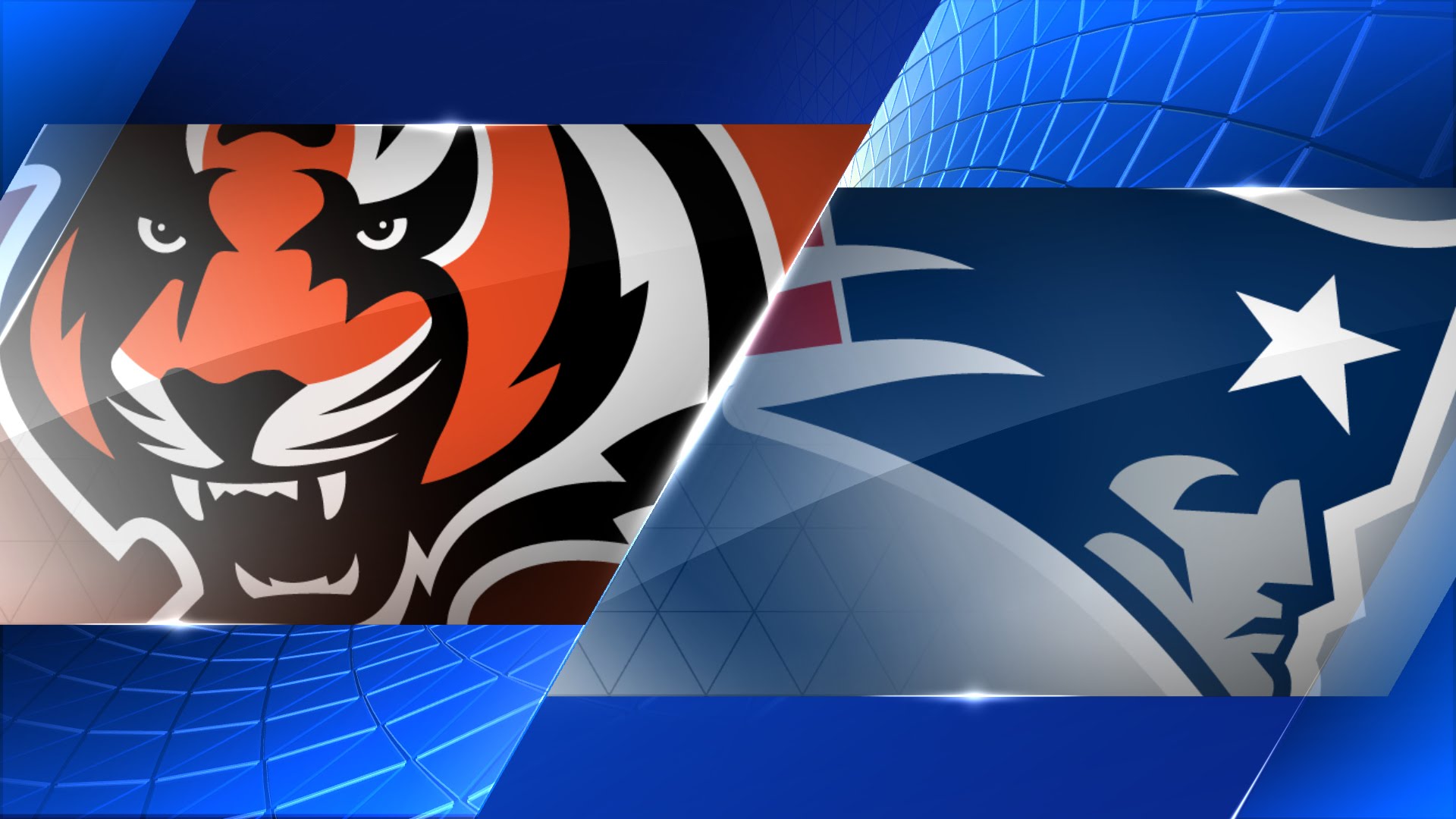 Cincinnati Bengals@New England Patriots: A Highly Biased Game